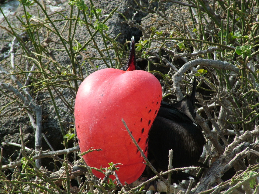 DSCF3291.JPG
