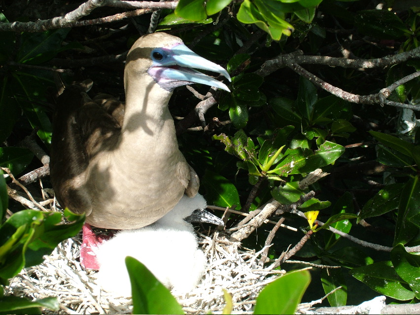 DSCF3293.JPG