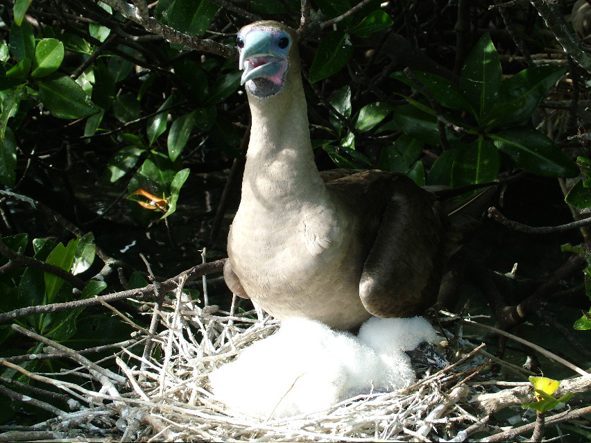DSCF3294.JPG
