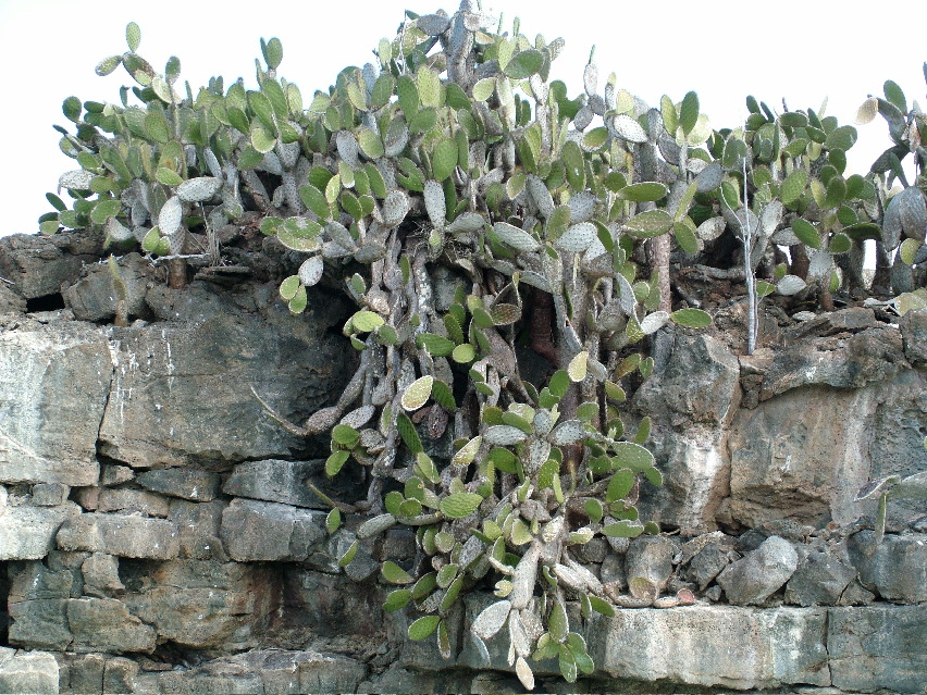 DSCF3296.JPG