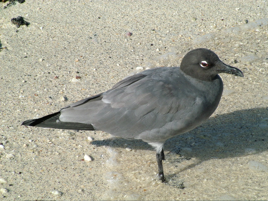DSCF3298.JPG