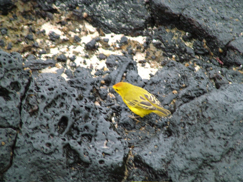 DSCF3302.JPG