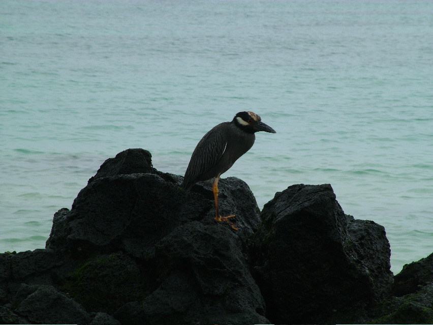 DSCF3307.JPG