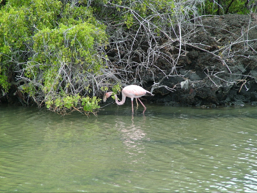 DSCF3311.JPG