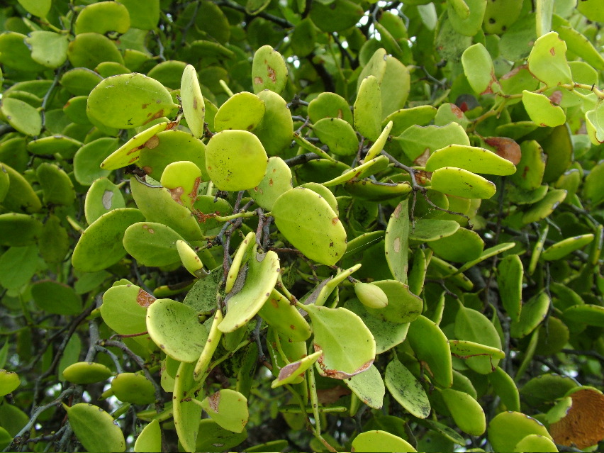 DSCF3312.JPG