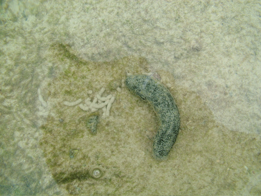 DSCF3314.JPG