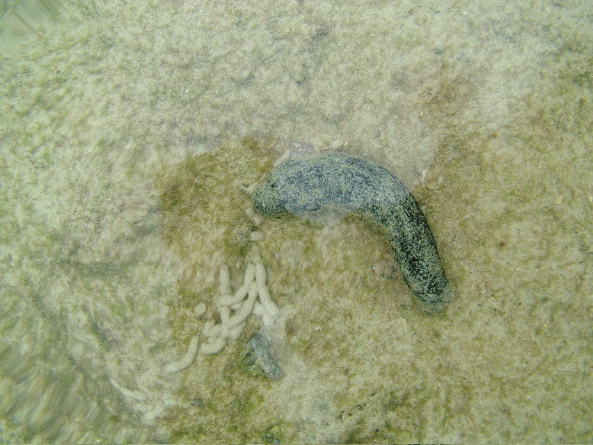 DSCF3315.JPG
