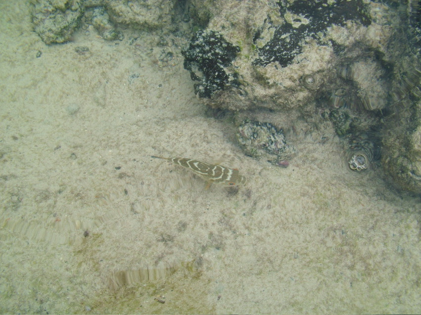 DSCF3316.JPG