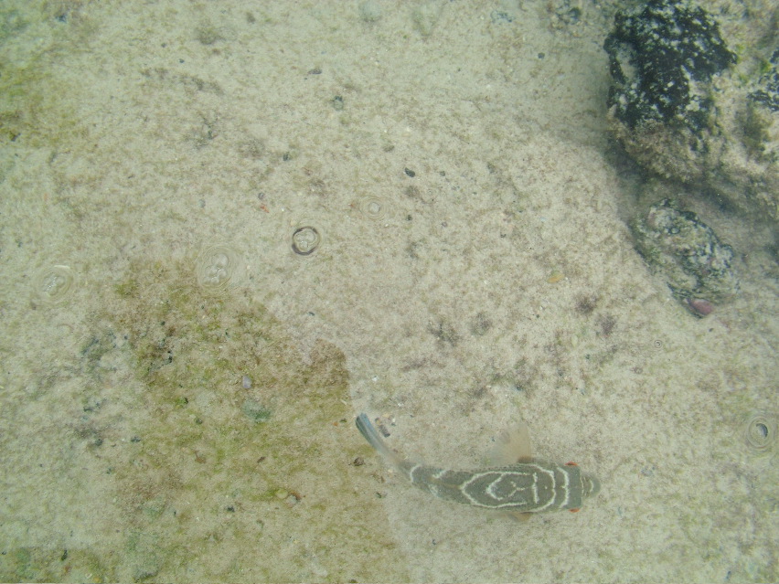DSCF3317.JPG