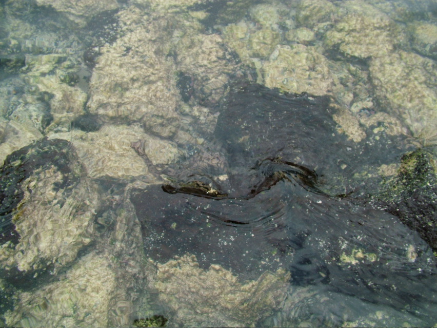 DSCF3319.JPG