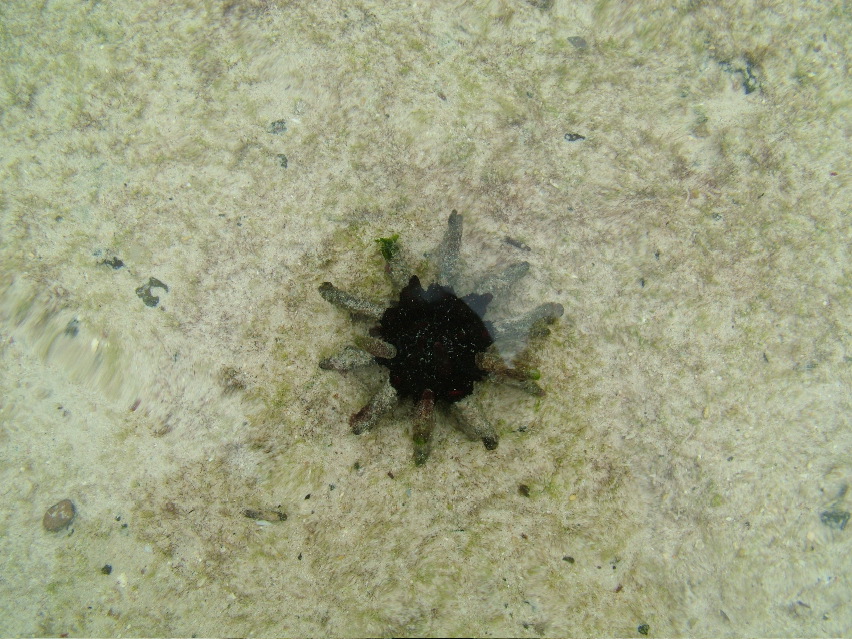 DSCF3324.JPG