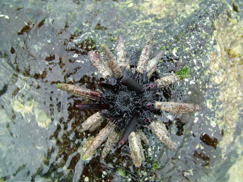 DSCF3325.JPG
