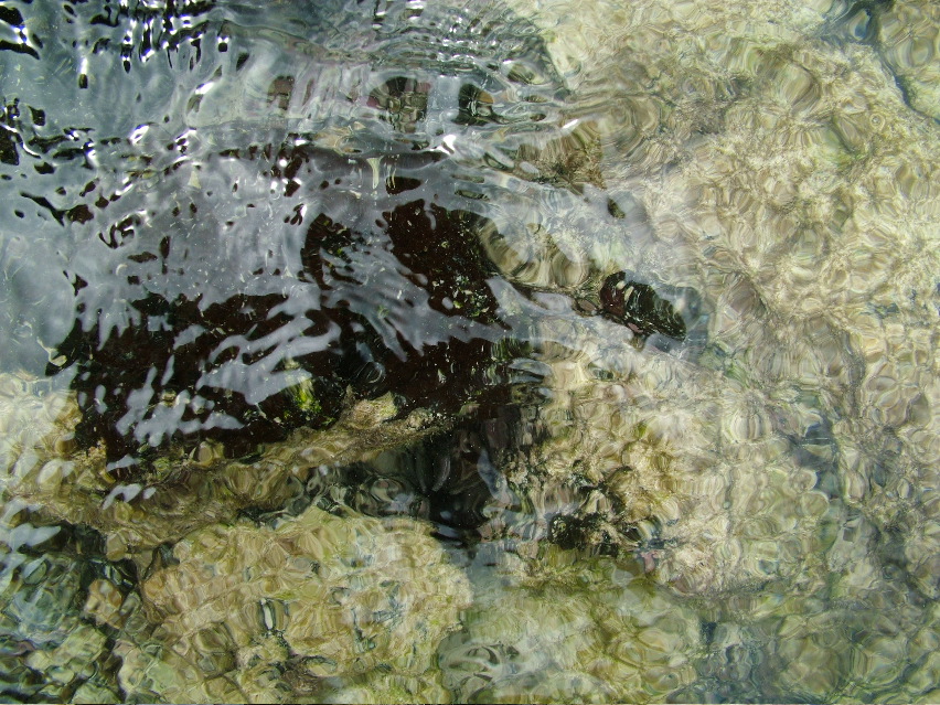 DSCF3329.JPG