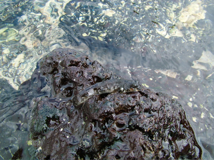 DSCF3330.JPG