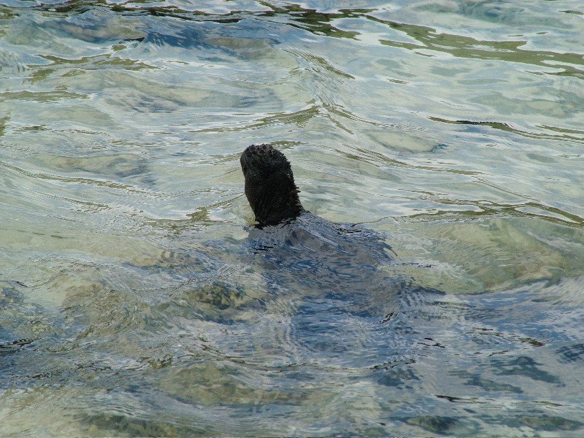DSCF3331.JPG