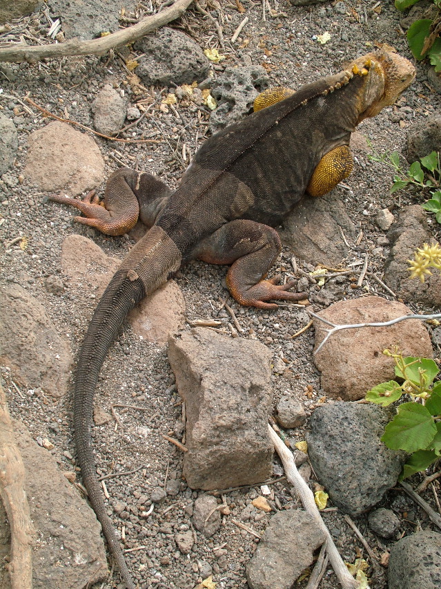DSCF3342.JPG