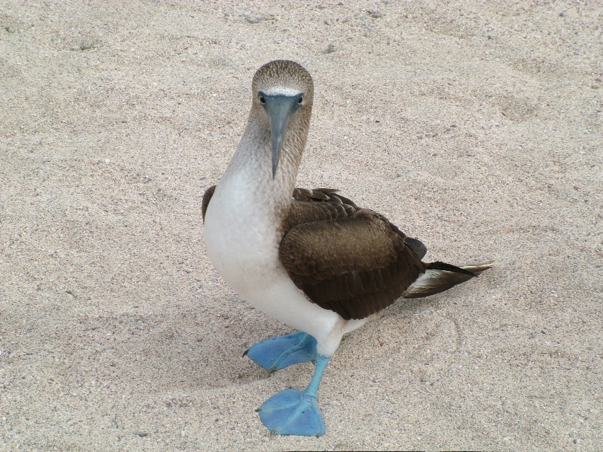 DSCF3347.JPG