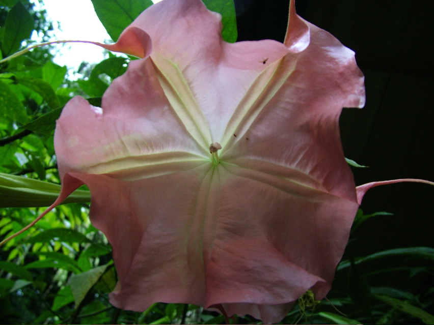 DSCF3139.JPG