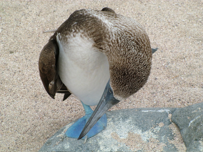 DSCF3354.JPG