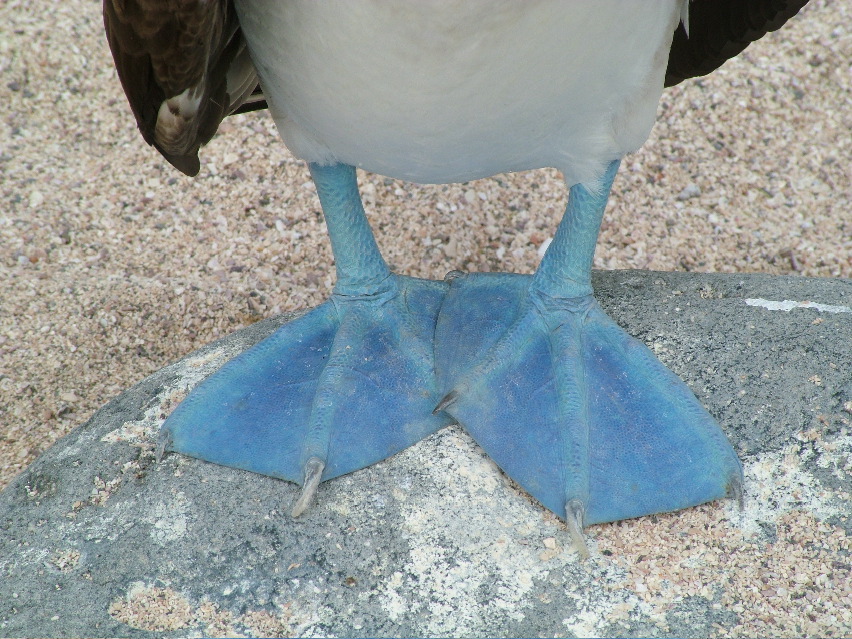 DSCF3355.JPG