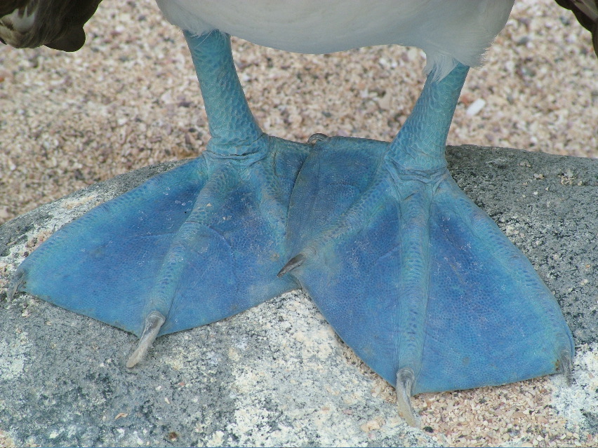 DSCF3356.JPG