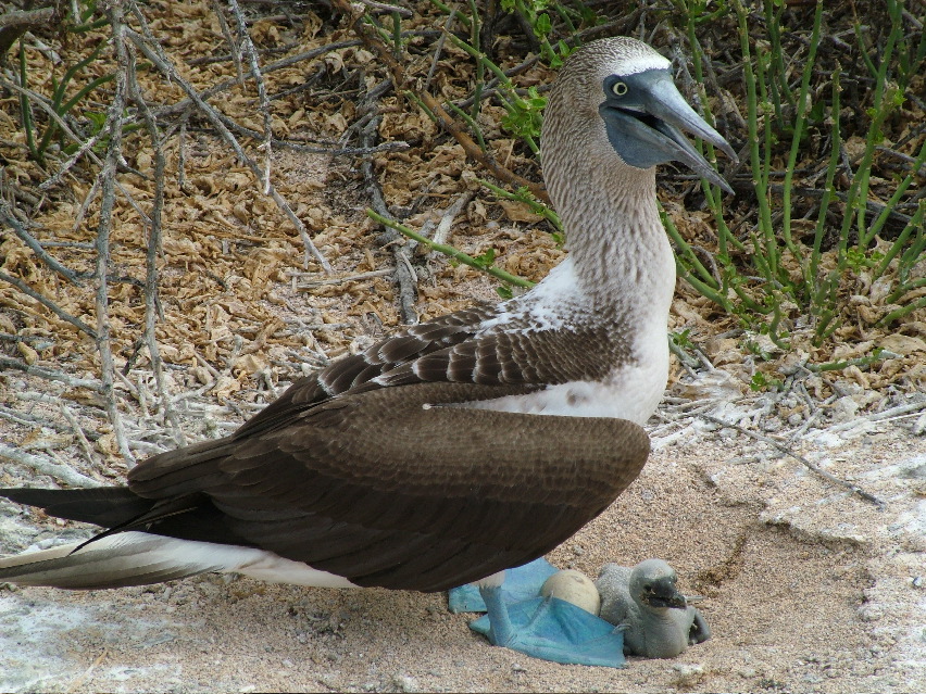 DSCF3358.JPG