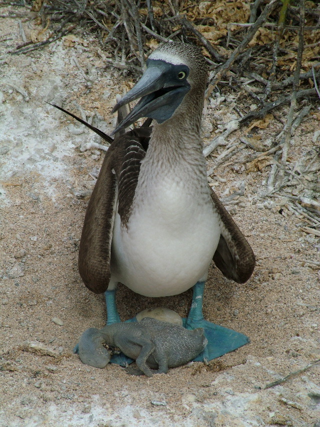 DSCF3361.JPG