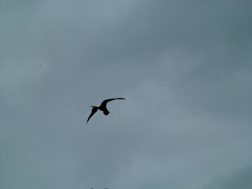 DSCF3365.JPG