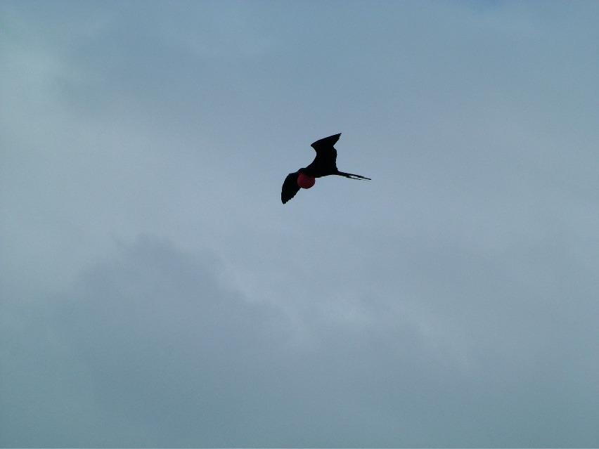 DSCF3366.JPG