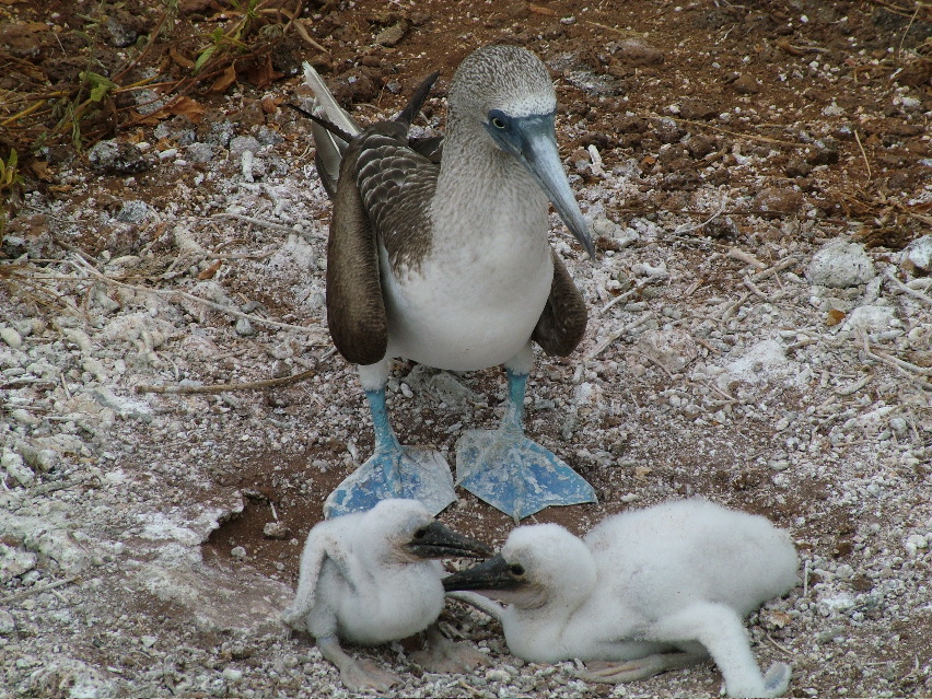 DSCF3368.JPG