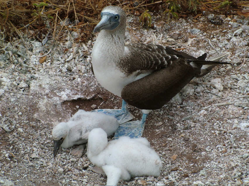 DSCF3369.JPG