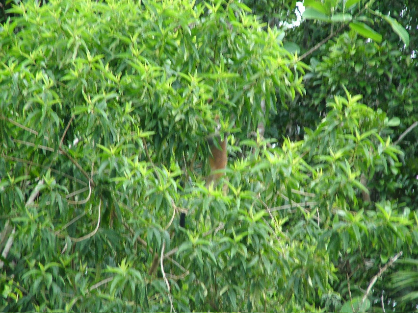DSCF3141.JPG