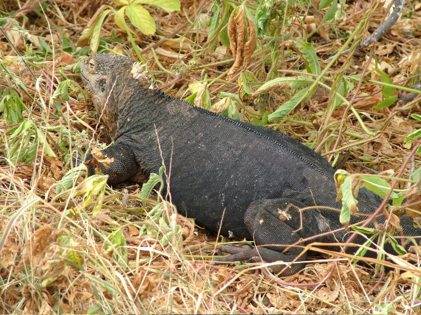 DSCF3372.JPG