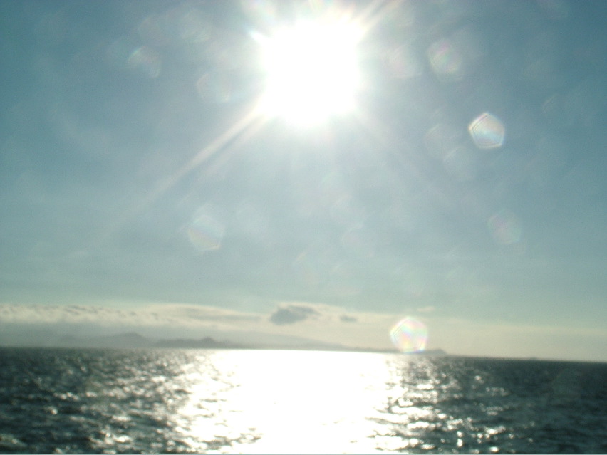 DSCF3375.JPG