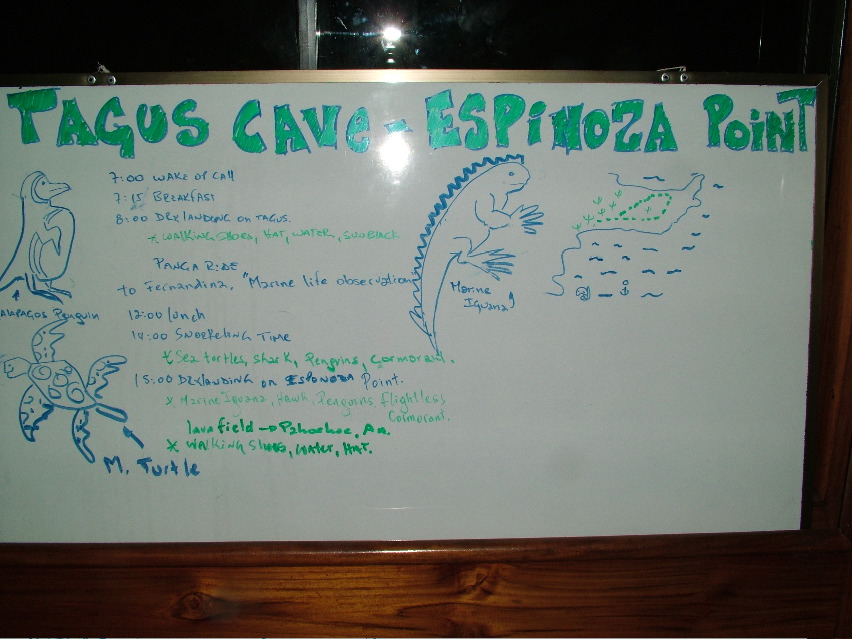 DSCF3380.JPG