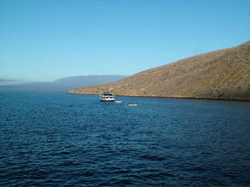 DSCF3381.JPG