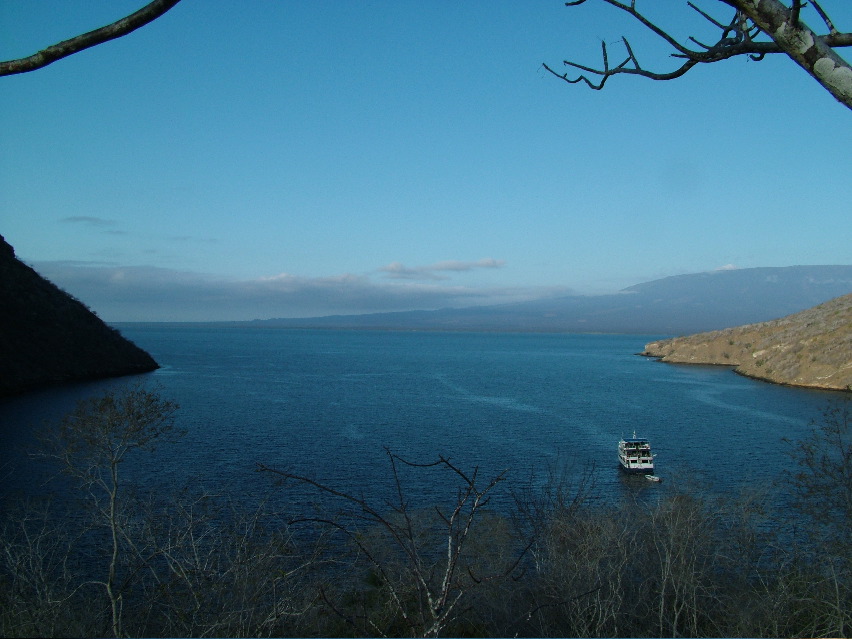 DSCF3384.JPG