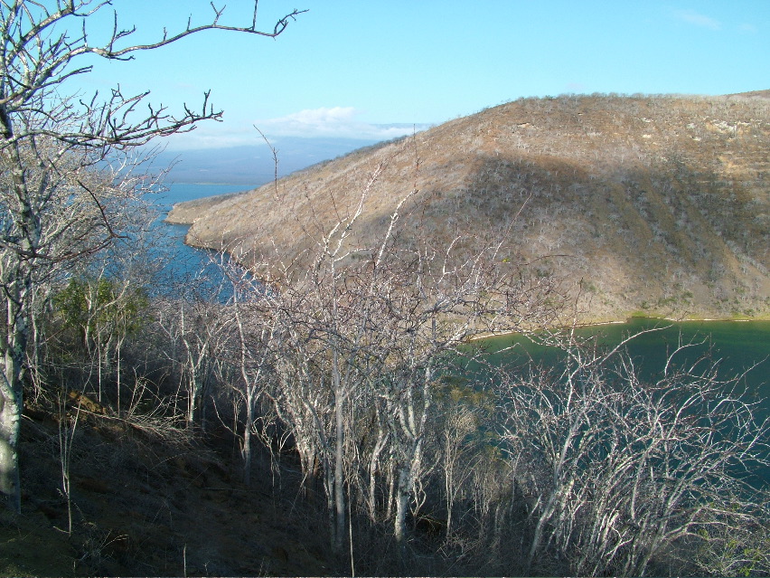 DSCF3388.JPG
