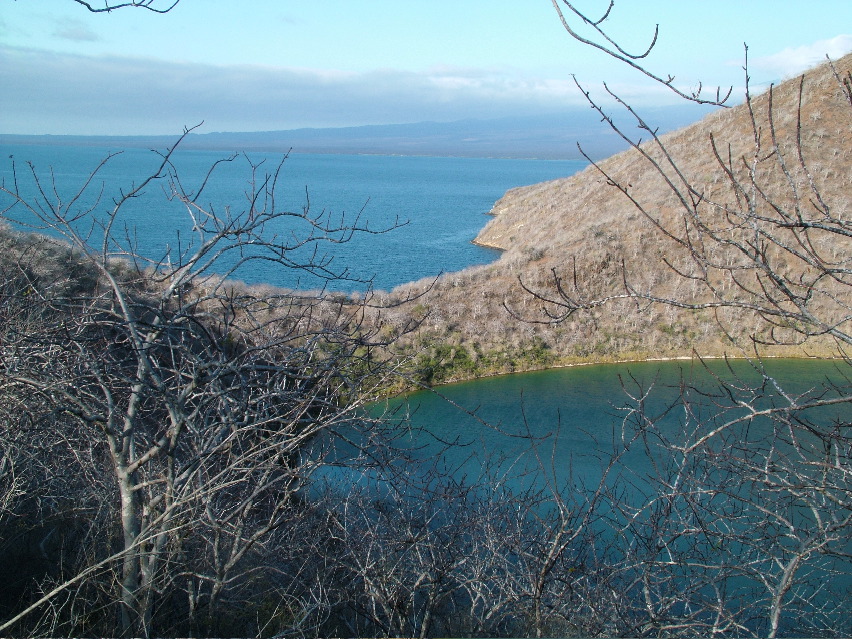 DSCF3390.JPG