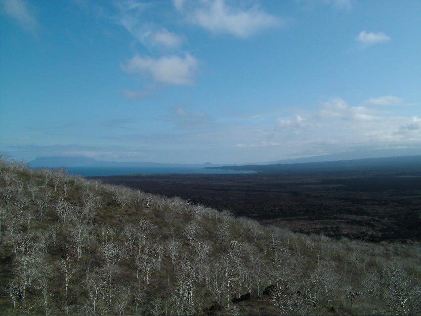 DSCF3395.JPG
