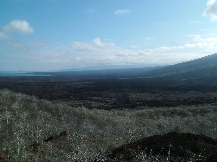 DSCF3396.JPG