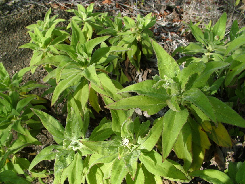 DSCF3398.JPG