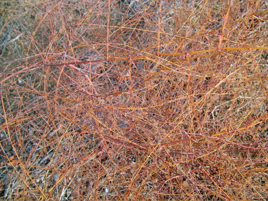 DSCF3399.JPG