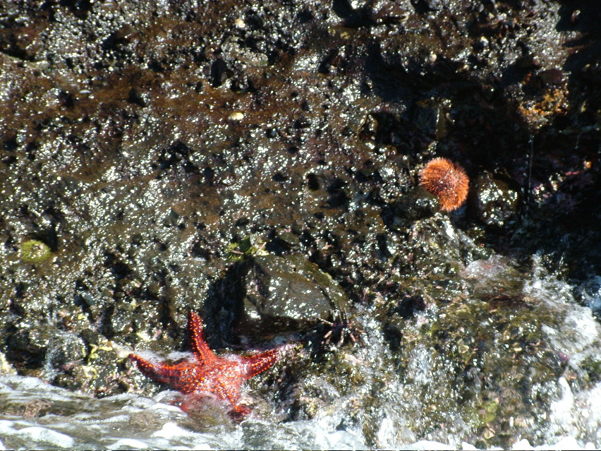 DSCF3402.JPG