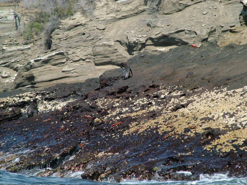DSCF3403.JPG