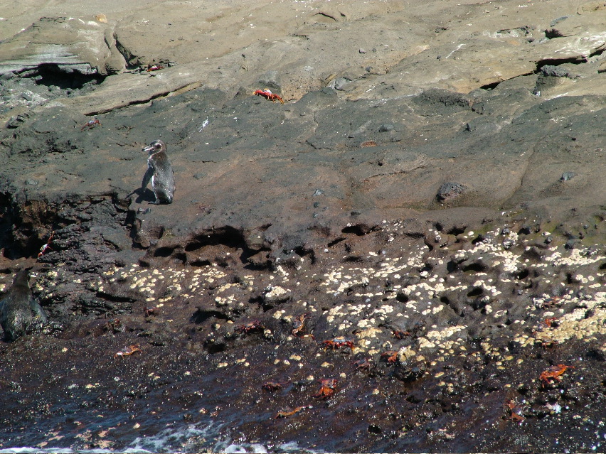 DSCF3404.JPG