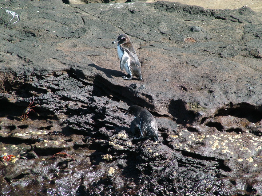 DSCF3406.JPG