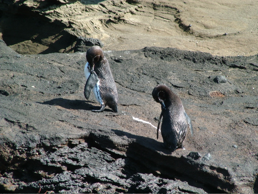 DSCF3408.JPG