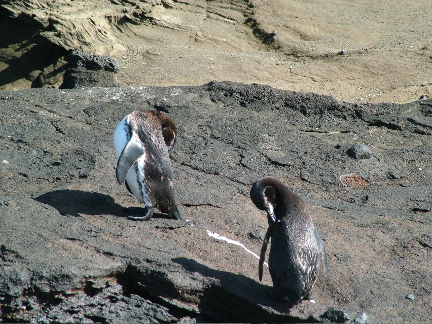 DSCF3409.JPG