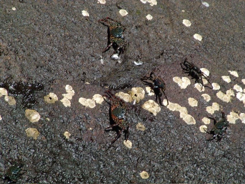 DSCF3412.JPG